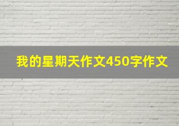 我的星期天作文450字作文