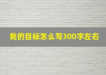 我的目标怎么写300字左右