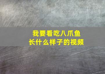 我要看吃八爪鱼长什么样子的视频