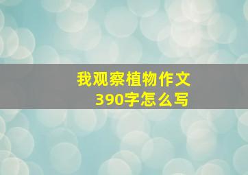 我观察植物作文390字怎么写