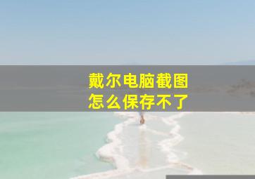 戴尔电脑截图怎么保存不了