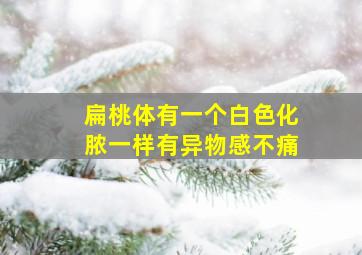 扁桃体有一个白色化脓一样有异物感不痛