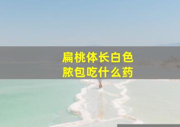 扁桃体长白色脓包吃什么药