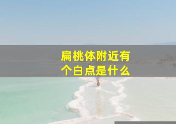 扁桃体附近有个白点是什么