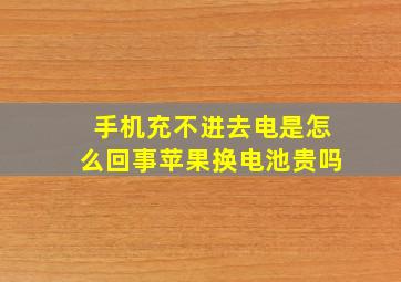 手机充不进去电是怎么回事苹果换电池贵吗