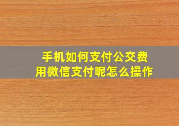 手机如何支付公交费用微信支付呢怎么操作