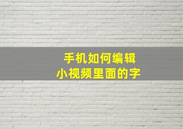 手机如何编辑小视频里面的字