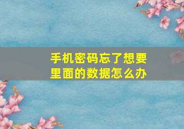 手机密码忘了想要里面的数据怎么办