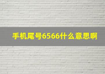 手机尾号6566什么意思啊