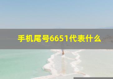 手机尾号6651代表什么