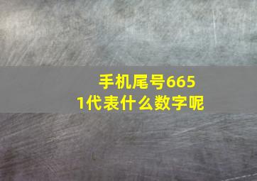 手机尾号6651代表什么数字呢