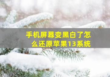 手机屏幕变黑白了怎么还原苹果13系统