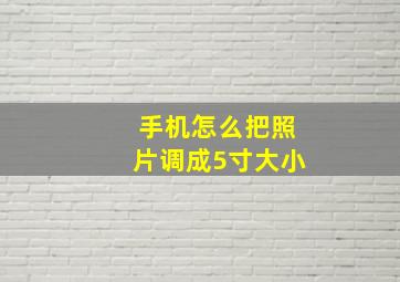 手机怎么把照片调成5寸大小