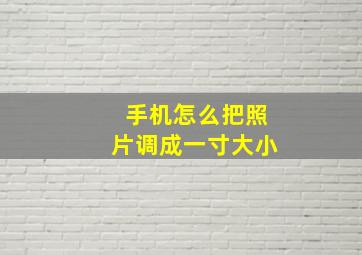 手机怎么把照片调成一寸大小