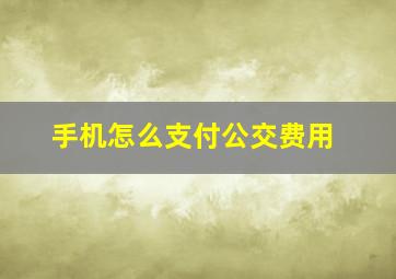 手机怎么支付公交费用