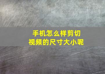 手机怎么样剪切视频的尺寸大小呢