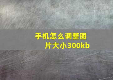 手机怎么调整图片大小300kb