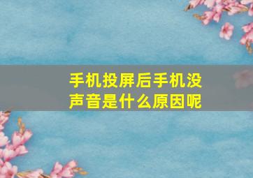 手机投屏后手机没声音是什么原因呢