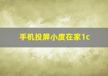 手机投屏小度在家1c