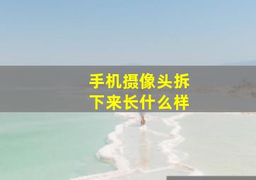 手机摄像头拆下来长什么样