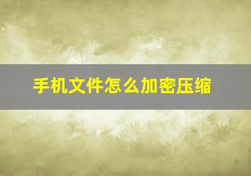 手机文件怎么加密压缩