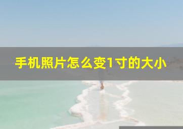 手机照片怎么变1寸的大小