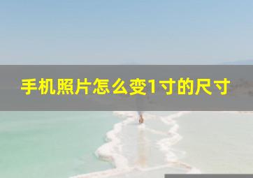 手机照片怎么变1寸的尺寸