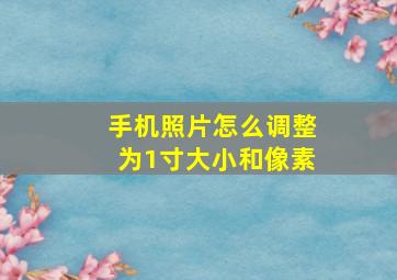 手机照片怎么调整为1寸大小和像素