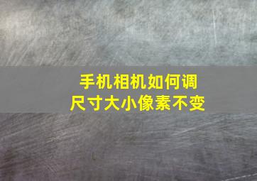 手机相机如何调尺寸大小像素不变