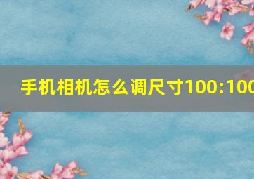 手机相机怎么调尺寸100:100