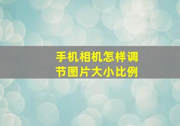 手机相机怎样调节图片大小比例