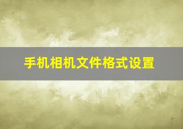 手机相机文件格式设置