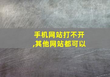 手机网站打不开,其他网站都可以