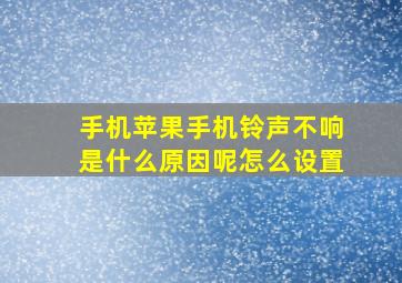 手机苹果手机铃声不响是什么原因呢怎么设置