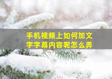 手机视频上如何加文字字幕内容呢怎么弄