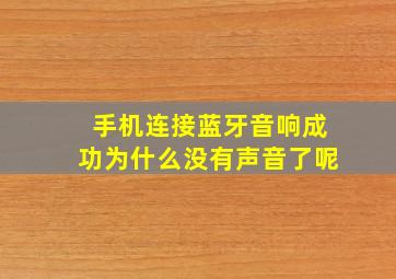 手机连接蓝牙音响成功为什么没有声音了呢