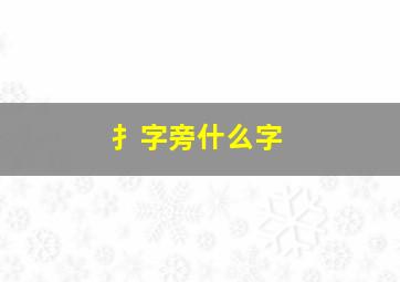 扌字旁什么字