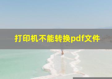 打印机不能转换pdf文件