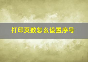 打印页数怎么设置序号