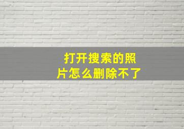 打开搜索的照片怎么删除不了