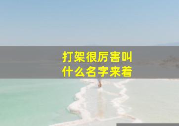 打架很厉害叫什么名字来着