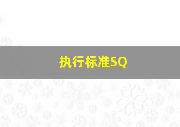 执行标准SQ