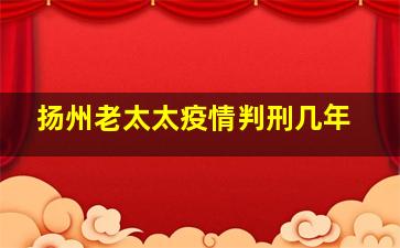 扬州老太太疫情判刑几年