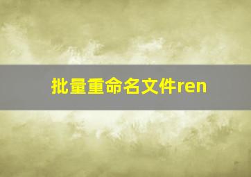 批量重命名文件ren