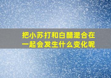 把小苏打和白醋混合在一起会发生什么变化呢