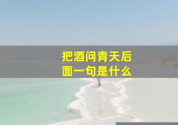 把酒问青天后面一句是什么