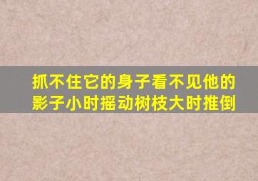 抓不住它的身子看不见他的影子小时摇动树枝大时推倒