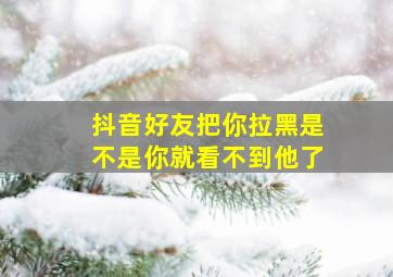 抖音好友把你拉黑是不是你就看不到他了