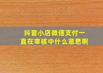 抖音小店微信支付一直在审核中什么意思啊