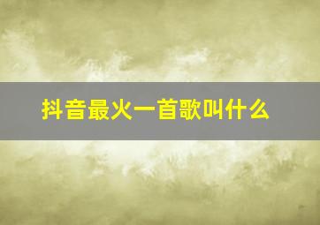 抖音最火一首歌叫什么